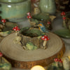 Tiny King Fisher Tree Log Pot 3.5 width x 1.5 depth (cm)
