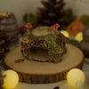 Frog Tree Stump Trinket Holder (6 cm Width x 3cm Height)