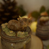 Daisy highland Cow Trinket Pot (4cm Width x 3cm Height)