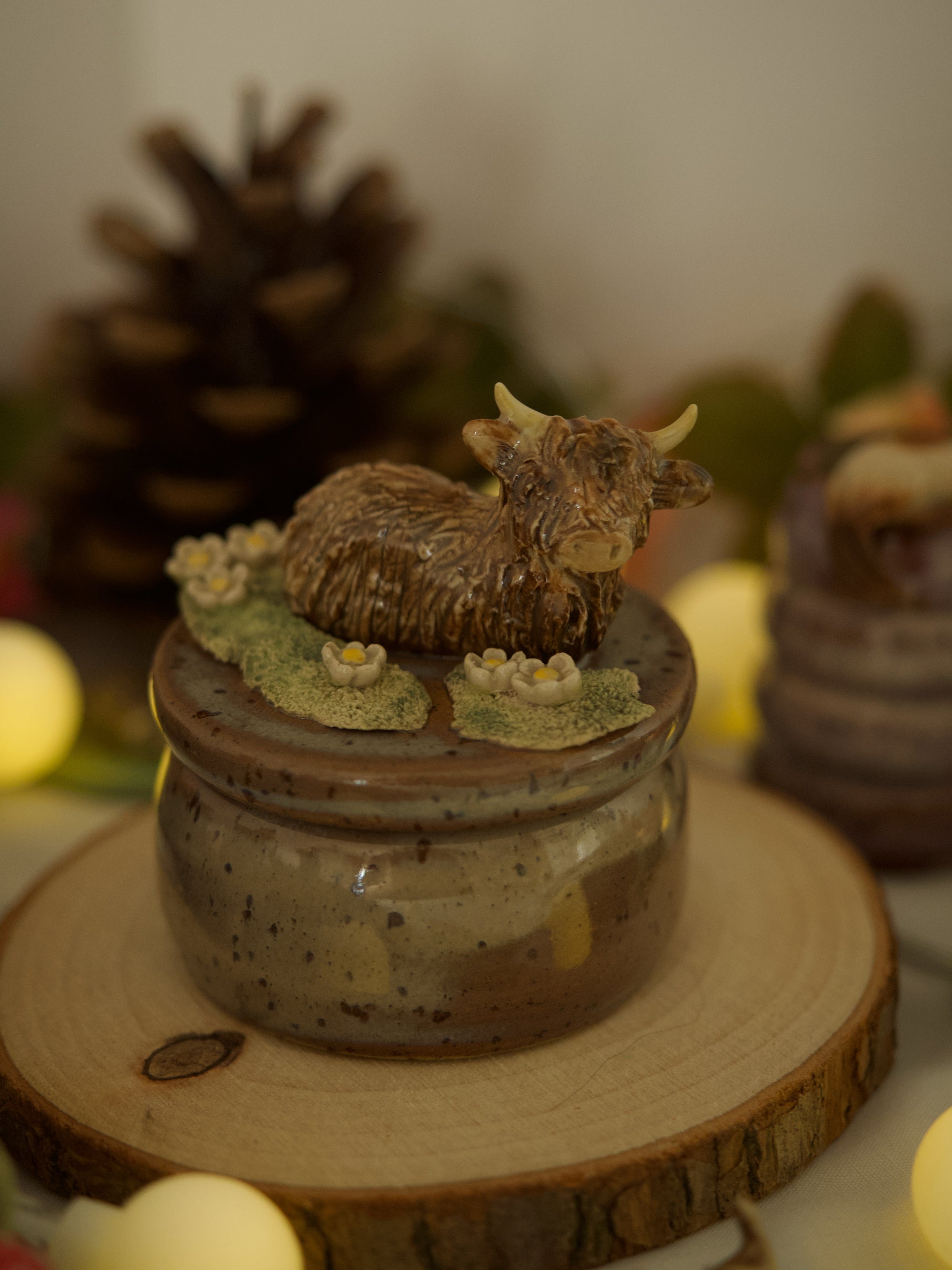 Daisy highland Cow Trinket Pot (4cm Width x 3cm Height)