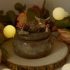 Mushroom Highland Cow Trinket Pot (4cm Width x 3cm Height)