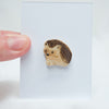 Spring Themed Animal Pins