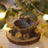 X1 owl vase , x 1 owl vase, x1 cat woodland tree log dish