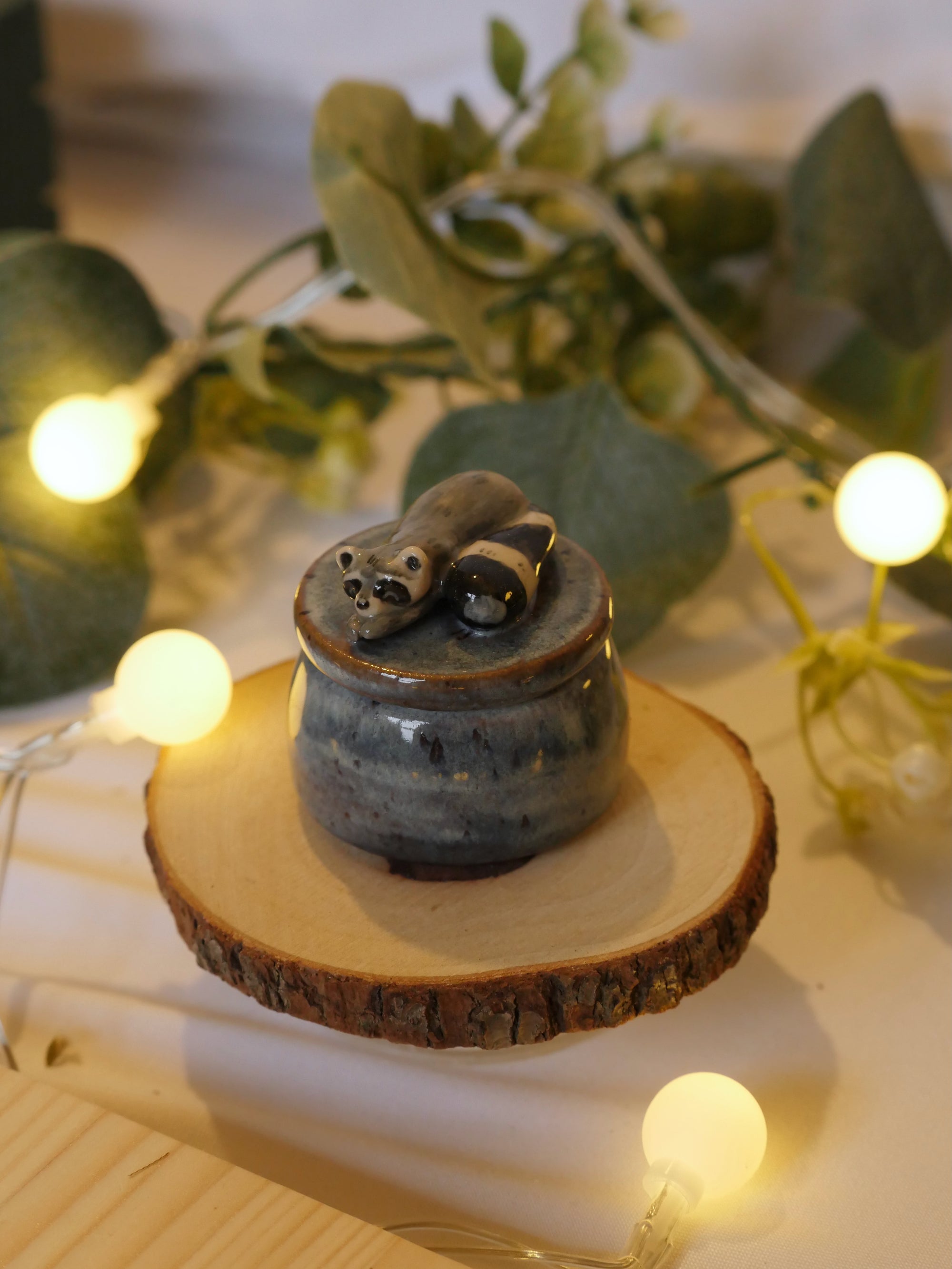 Sleeping Raccoon : 4cm Width 3cm Height (pot size)