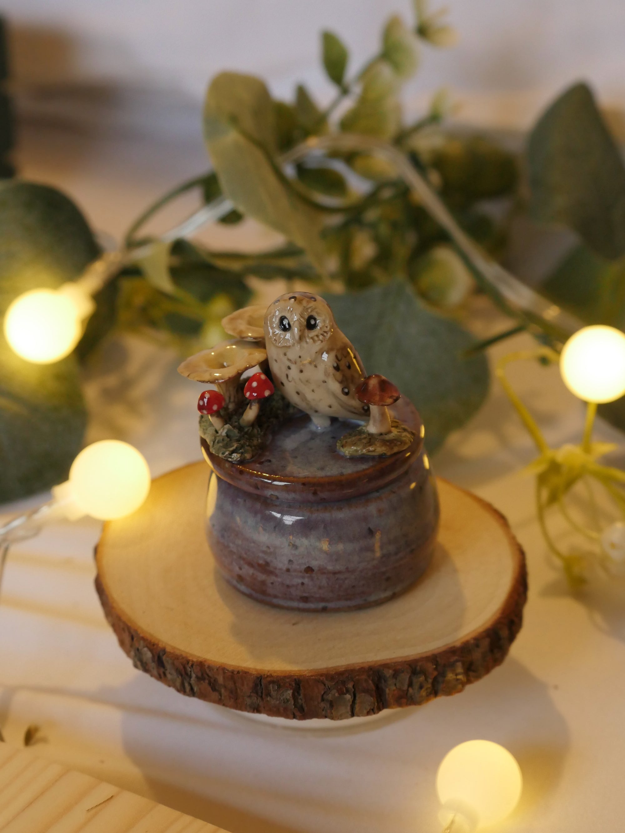 Owl and Mushrooms Pot : 4.5cm Width 3.5cm Height (pot size)