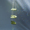 Frog Daisy Lily Pad Sun Catcher (with Cut Glass Crystals featuring platinum foiling for sparkle)
