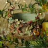 Otter and Fox WoodlandTree Stump Dish (8cm Width x 4cm Height)