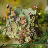Woodland Garden Sculpture Fox and Birds (8cm width x 8cm height)